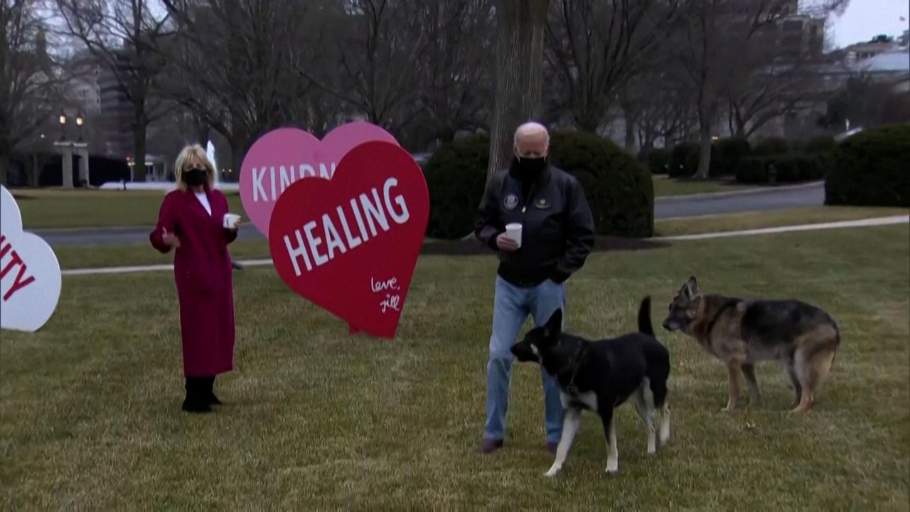 First Dogs zurück im Weißen Haus