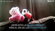 ¡Los osos de peluche se divierten en el Día de los Enamorados!