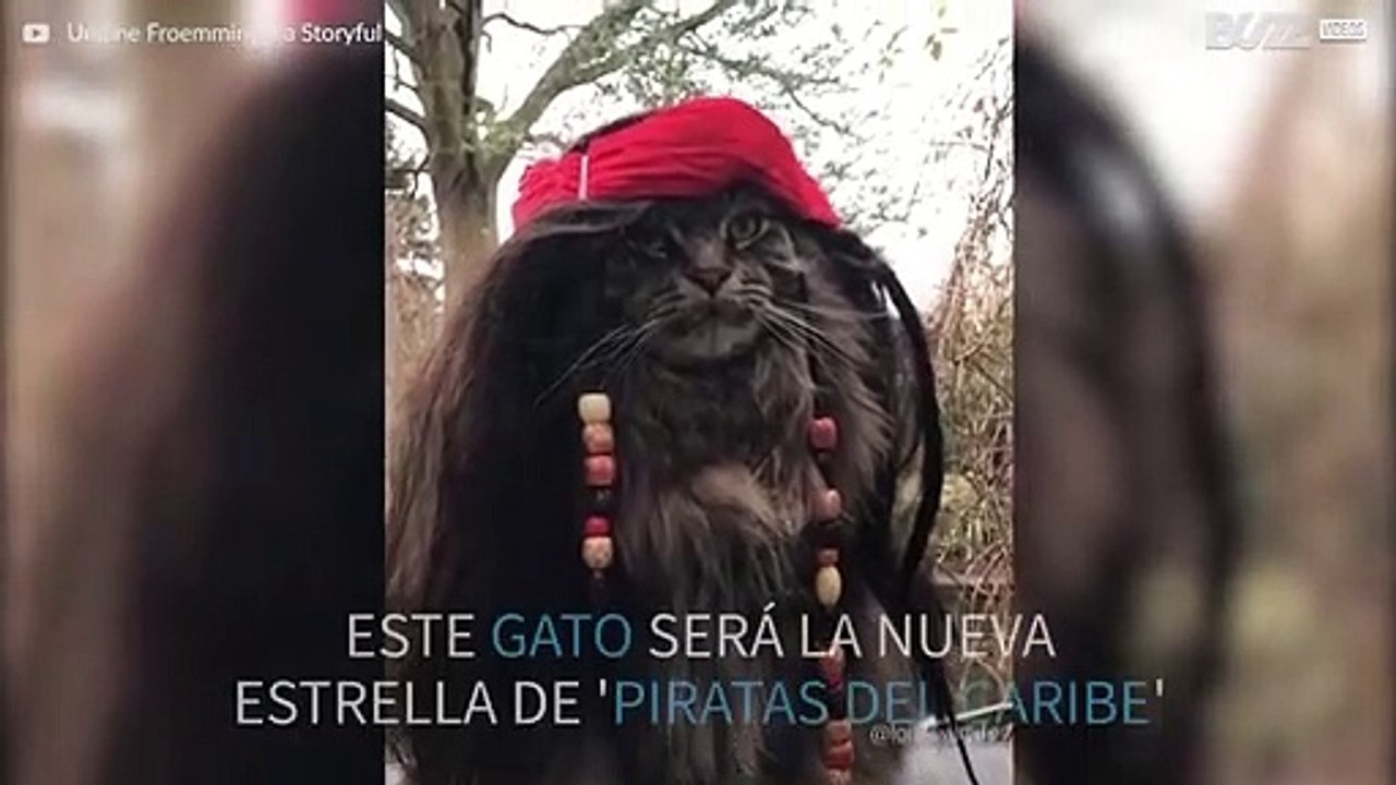 La nueva estrella de la película 'Piratas del Caribe' es... ¡un gato!