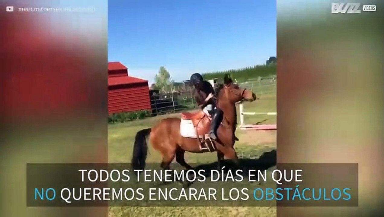 Paseo en caballo rebelde