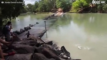 Duelo entre un cocodrilo y un pescador en un río de Australia