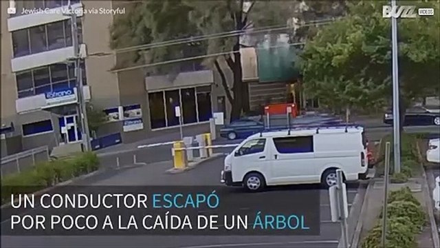 ¡Conductor escapa a la muerte por dos segundos!