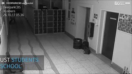 Ghost visits Irish school