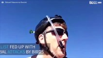 Cyclist creates fun helmet to prevent swoop attacks from aggressive birds