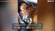 This dog is really happy to see his owner