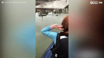 Kids spot shark during sailing class