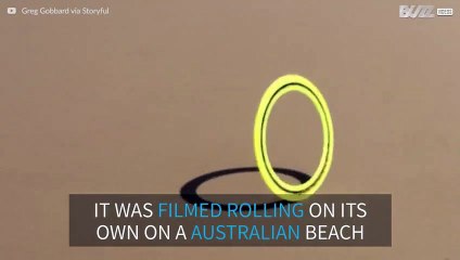 Flying disk has a life of its own