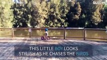 Funny little boy speed-chases birds on his balance bike