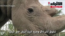 نفوق اخر ذكر وحيد القرن بحديقة في كينيا