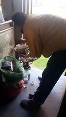 شيشة داخل قطار شبين الكوم طنطاminufiyah.com