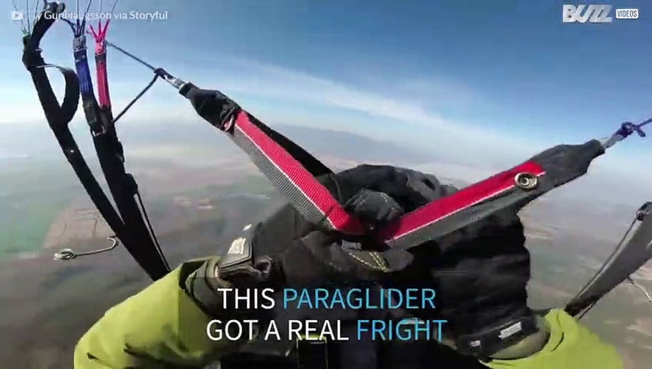Paraglider loses control mid-flight
