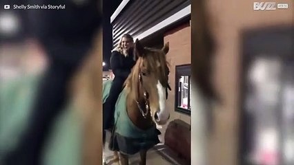 Lady takes her horse to a drive-thru