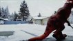 T-Rex shovels snow like a pro