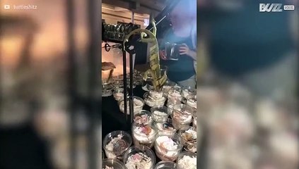 Chameleon tries to eat gecko at reptile show