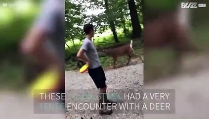 Deer attacks youngsters in Ohio woods