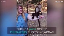Tourist is 'attacked' by group of monkeys in Costa Rica