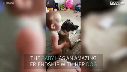 Baby makes dangerous backflip when sitting on dog's back