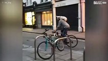 Adopted dog rides piggyback on his owner through Dublin