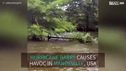 Hurricane Barry causes flood havoc in USA