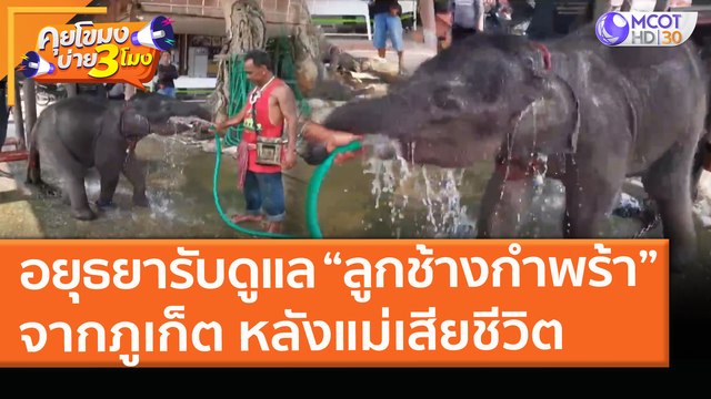 อยุธยารับดูแล “ลูกช้างกำพร้า” จากภูเก็ต หลังแม่เสียชีวิต! (11 มี.ค. 64) คุยโขมงบ่าย 3 โมง