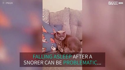 When the one who snores falls asleep first...