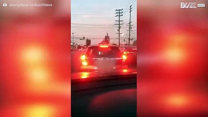 Driver Caught Using Tinder at Traffic Lights in Los Angeles 🚗💖