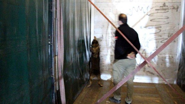 Sınırda operasyon: Piyasa değeri 56 milyon TL