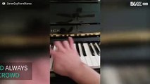 Dog performs piano duet with owner
