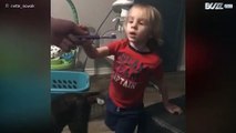 Toddler thinks toothpaste smells like... balls!