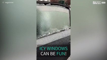 Ever had your car windows freeze up?