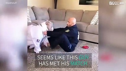 Martial arts expert trains with pit bull