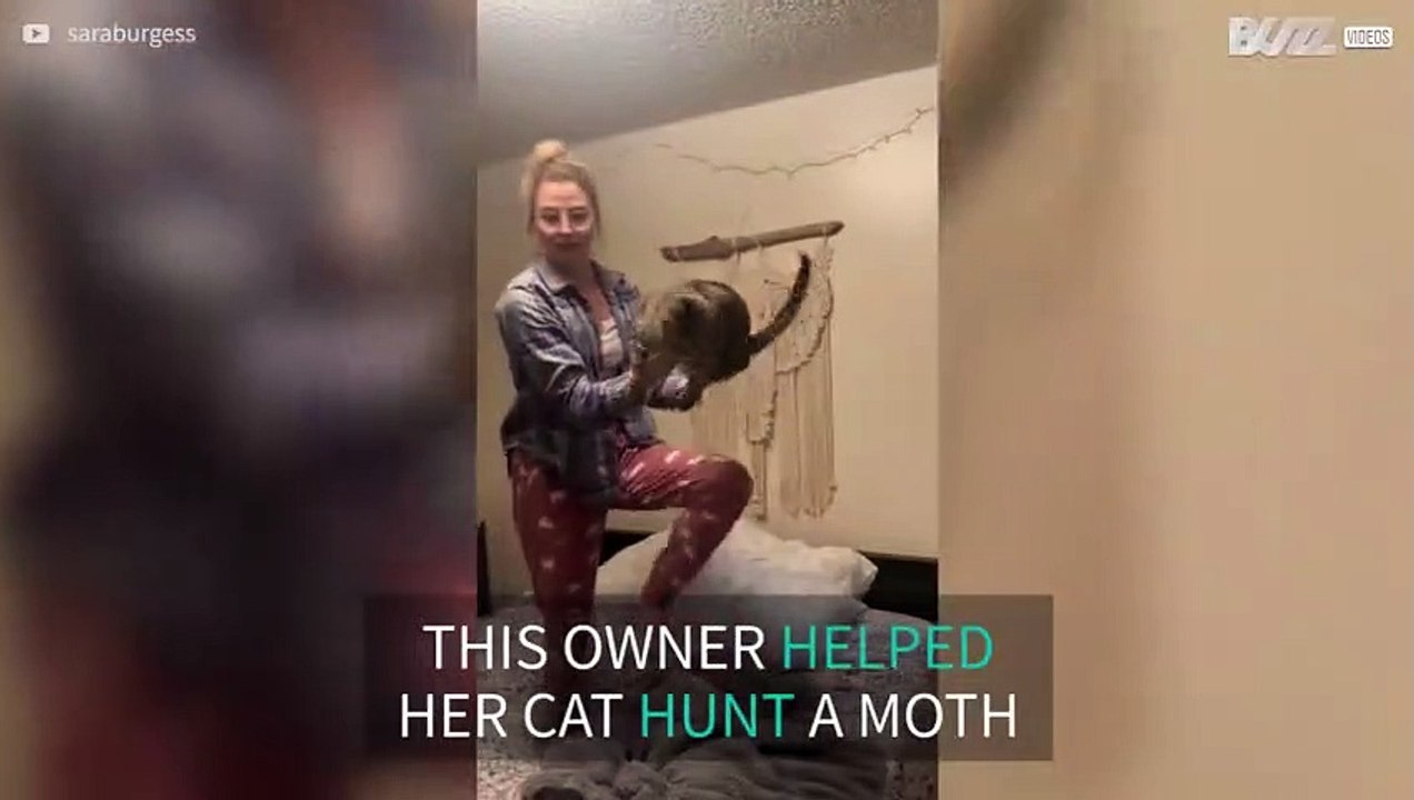 Owner helps her cat catch a moth