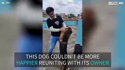 Young guy has emotional reunion with dog