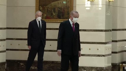 Romanya Büyükelçisi Tınca, Cumhurbaşkanı Erdoğan'a güven mektubu sundu