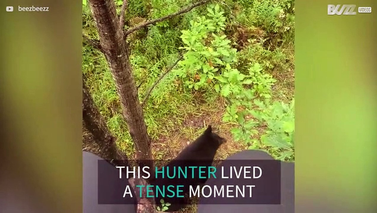 Scary moment bears surround hunter
