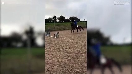 Même le plus petit obstacle est trop grand pour ce cheval!