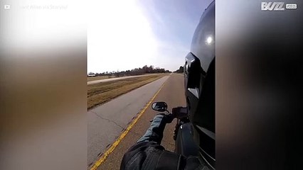 Un faucon évite ce motard de très peu!