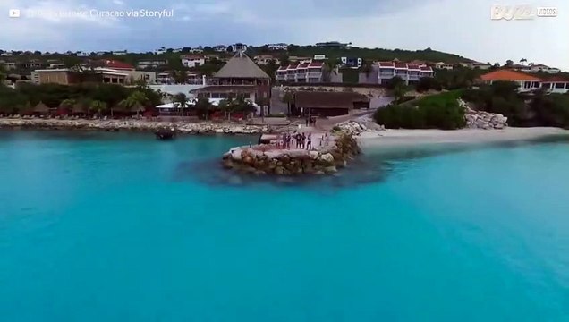 Un drone filme un rorqual de Bryde en plein repas au Curaçao