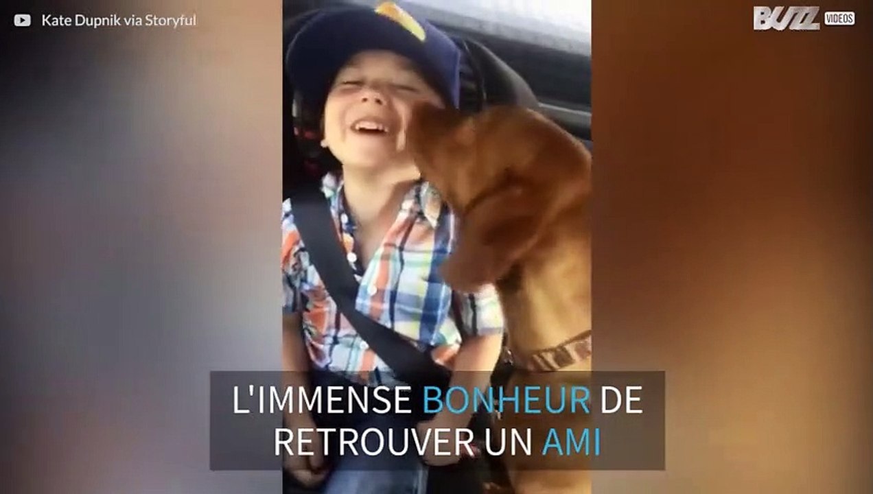 Ce chien est trop content de voir son maître