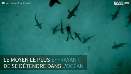 Un plongeur fait la sieste parmi les requins sur le fond marin