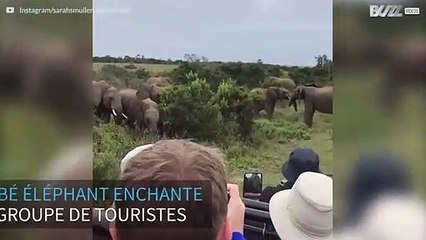 Ce bébé fait l'intéressant et chute devant les touristes!