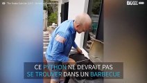 Une famille découvre un python géant sur son barbecue