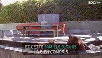 Une famille d'ours se détend dans un jardin