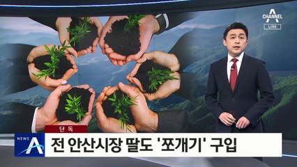 [단독]전 안산시장 딸 ‘쪼개기’ 구입…시장 재직 때 매입