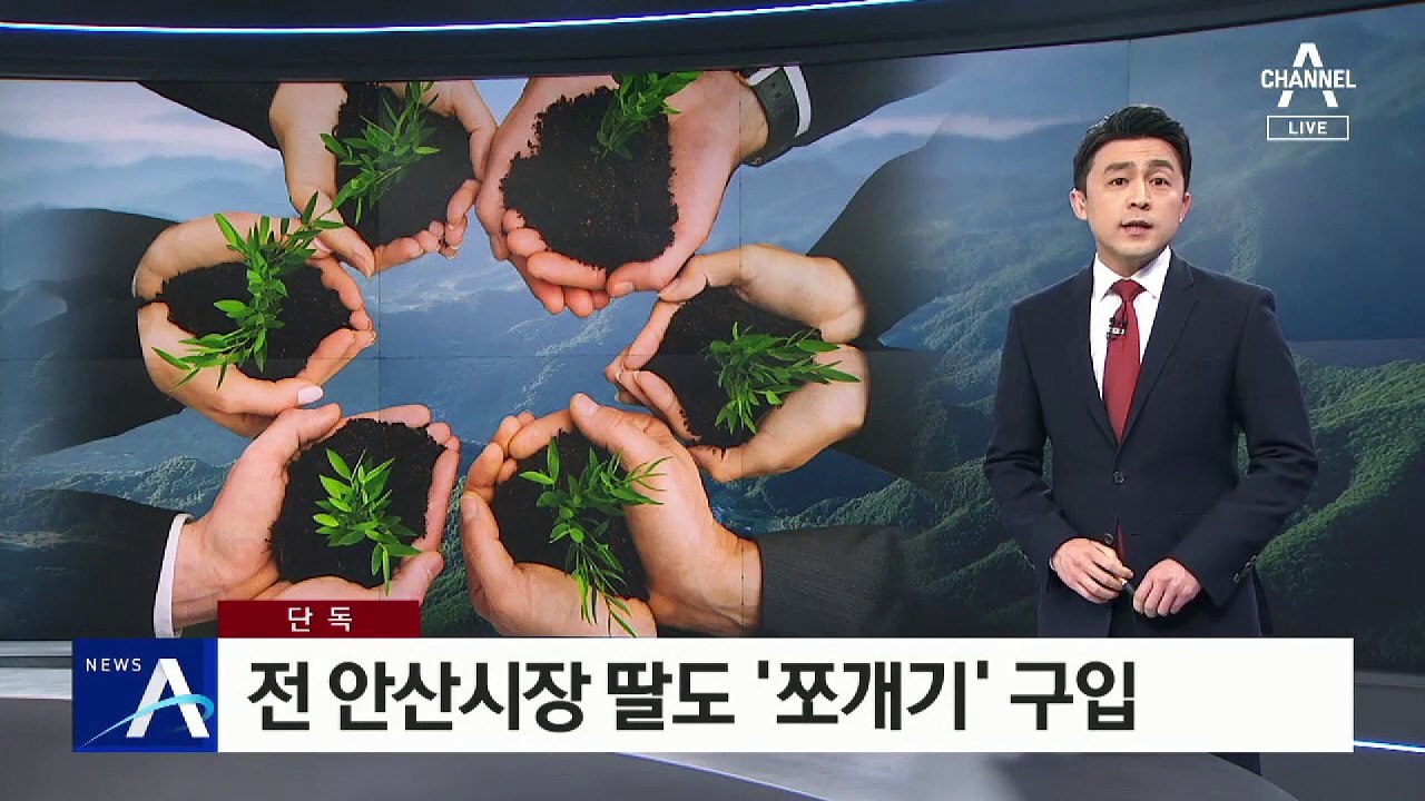 [단독]전 안산시장 딸 ‘쪼개기’ 구입…시장 재직 때 매입