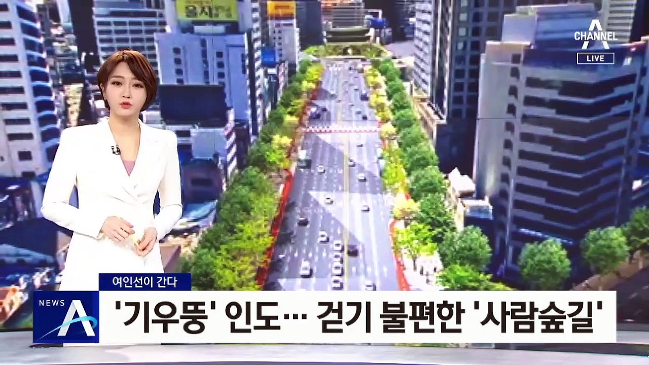 [여인선이 간다]걷기 좋다더니…불편한 광화문 ‘사람숲길’