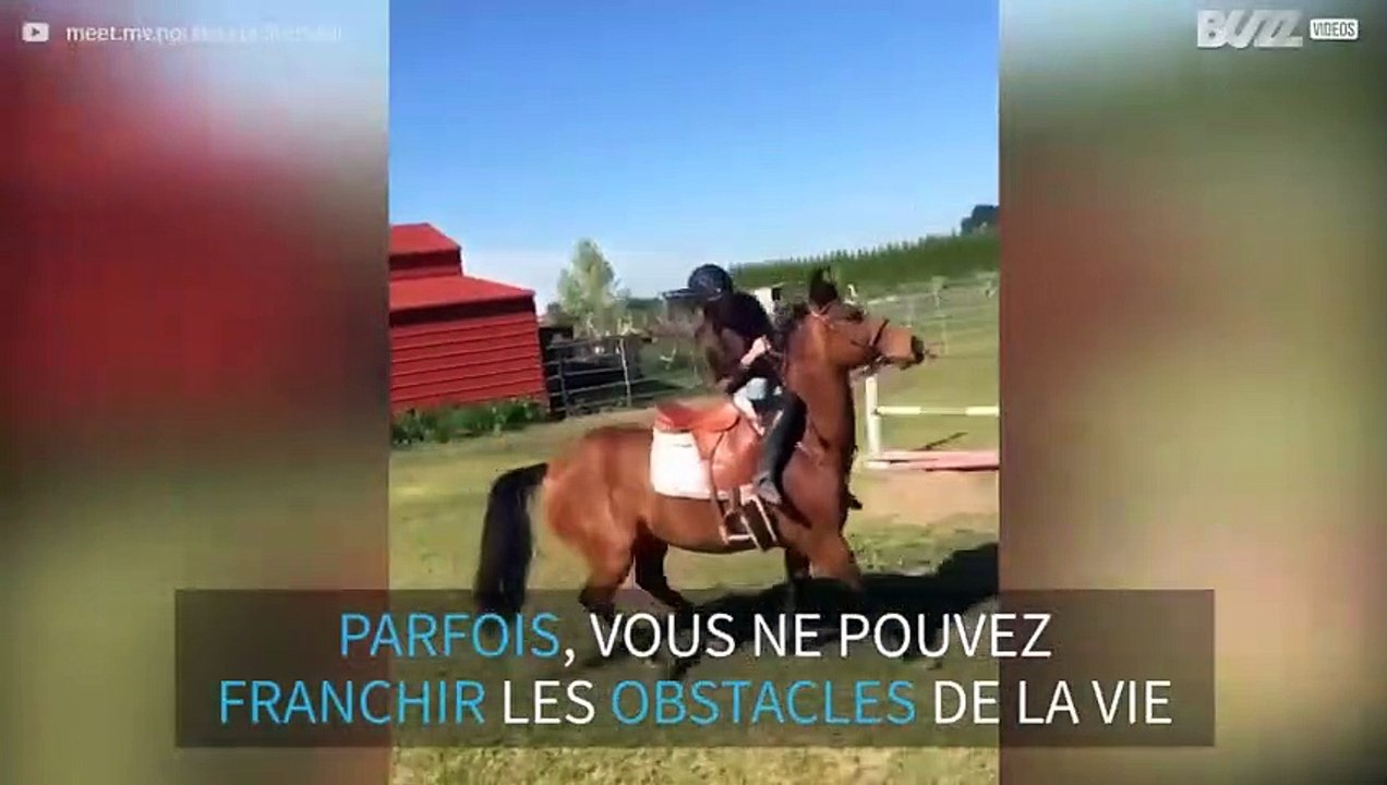 Quand un cheval refuse de sauter un obstacle