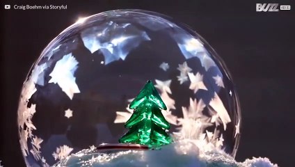 Boule à neige naturelle complétée par un sapin de Noël