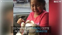 Cette petite fille fond en larmes en constatant la nouvelle tonte de son chien