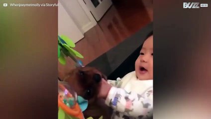 Ce que vous verrez de plus mignon aujourd'hui!